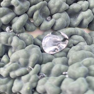 Meet your Posher, Daniela